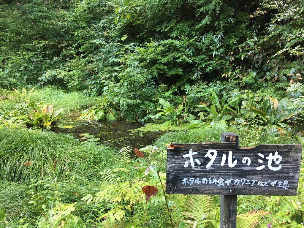 Lamp No Yado Aoni Onsen Hotel Hirakawa Ngoại thất bức ảnh